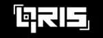 Payment qris