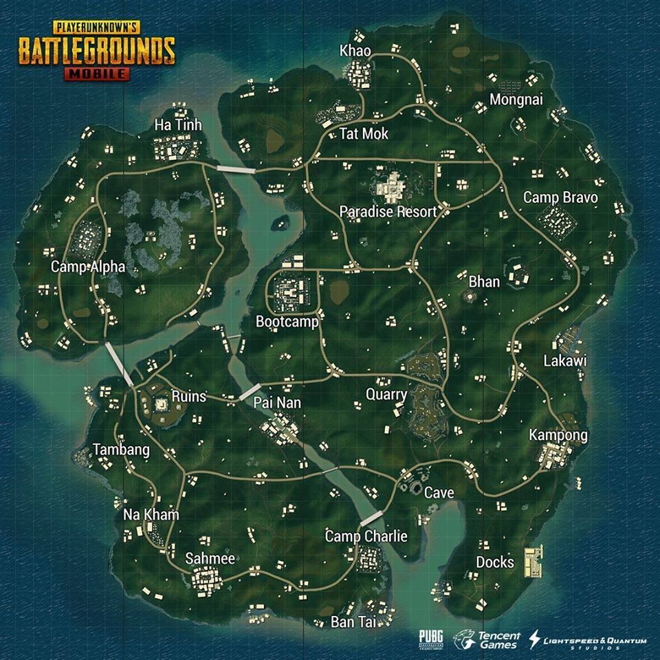 Tips Chicken Dinner