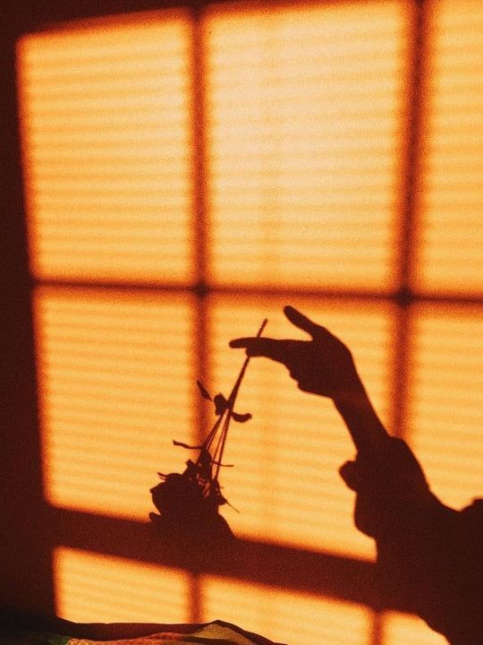 Foto Siluet Aesthetic untuk Profil WA