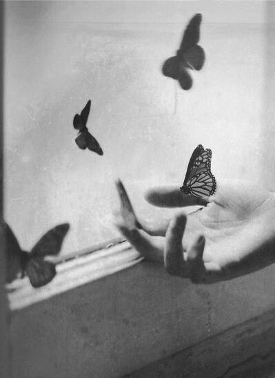 Foto Monochrome