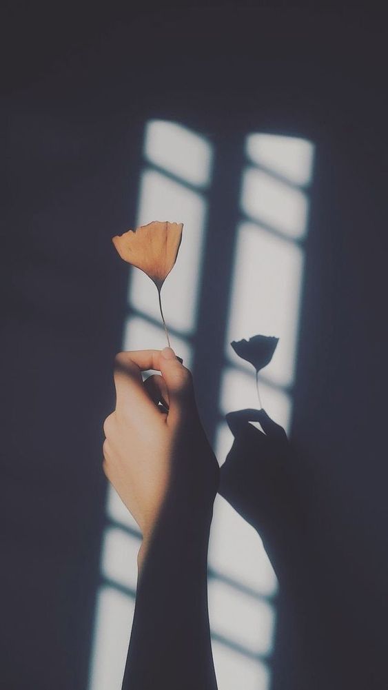 Foto Siluet Aesthetic untuk Profil WA
