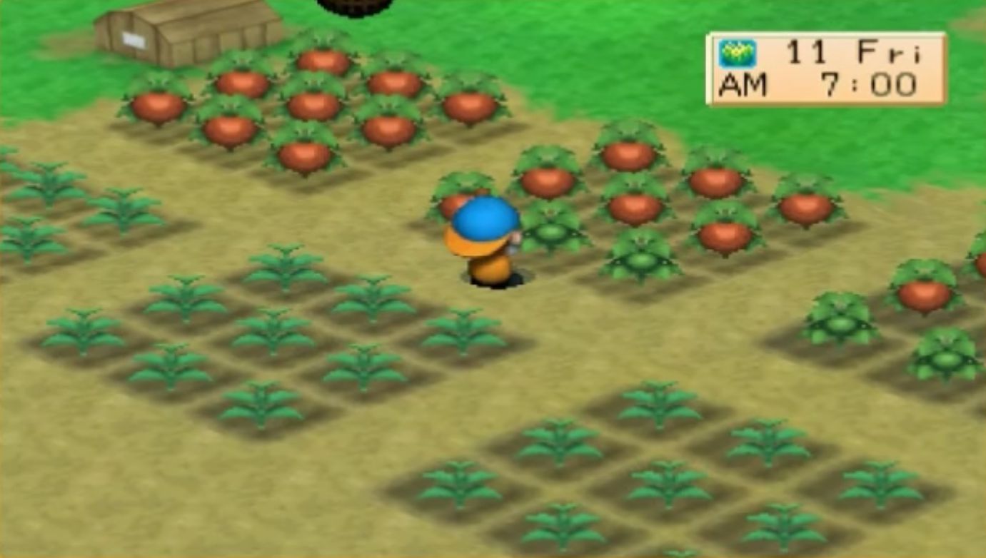 Cheat harvest Moon Back To Nature