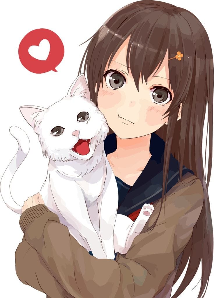 Cewek dan kucing