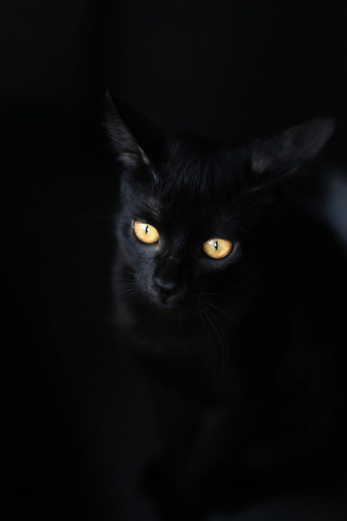 Black Wallpaper